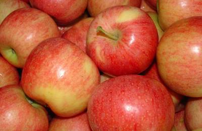Мнение: В Украине сформировались условия для роста цен на яблоко