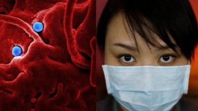 Зараженных коронавирусом обнаружили в 11 провинциях Китая