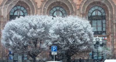Понижение на 17-20 градусов: главный синоптик Армении прогнозирует снег и метель