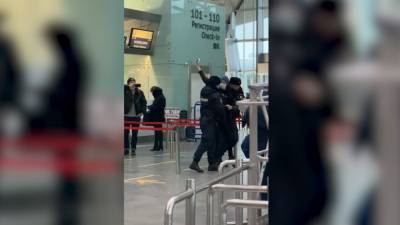 Полиция задержала Френкеля после провокации в аэропорту Пулково