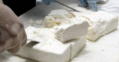 Эквадорская полиция конфисковала 1,3 тонны направлявшегося в Эстонию кокаина - rus.delfi.lv - Эстония - Мальта - Эквадор - Латвия