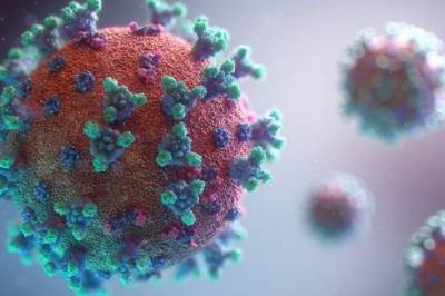 В Дании нашли новую мутацию коронавируса из ЮАР