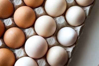 Производство яиц возродилось в Ульяновской области