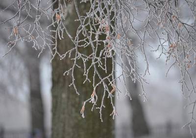 В Рязанской области ожидается до 29 градусов мороза