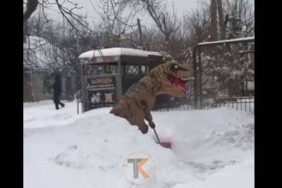 На улицах Краснодара заметили убирающего снег динозавра