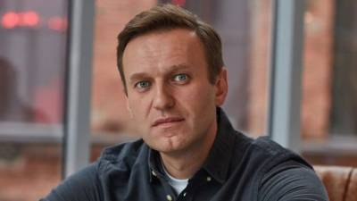 Карнаухов: у силовиков есть все основания для задержания Навального в самолете