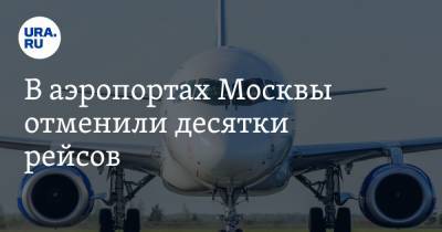 В аэропортах Москвы отменили десятки рейсов