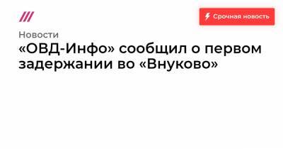 «ОВД-Инфо» сообщил о первом задержании во «Внуково»