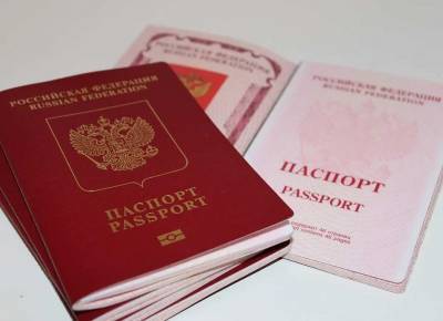 В ДНР рассказали, как российские паспорта защитят жителей Донбасса от наступления ВСУ
