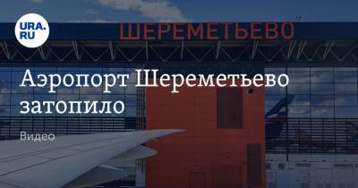 Аэропорт Шереметьево затопило. Видео