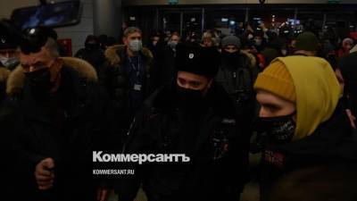 Во Внуково задержали сторонников Навального