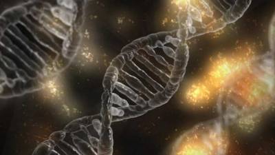 Генетики предложили новую методику для продления жизни в пять раз
