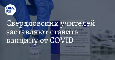 Свердловских учителей заставляют ставить вакцину от COVID. «Давили, что согласия не спрашивают»