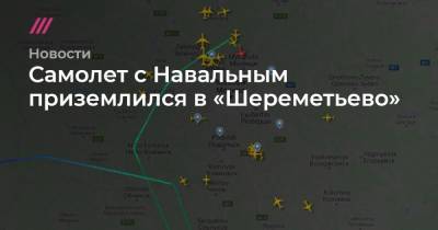 Самолет с Навальным приземлился в «Шереметьево»
