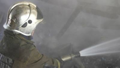 Пожар на овощебазе в Петербурге произошел в здании бывшей столовой