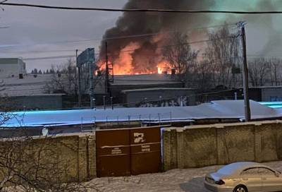 Пожару на Калининской овощебазе в Петербурге присвоен повышенный ранг сложности