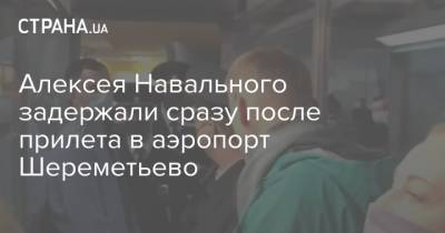 Алексея Навального задержали сразу после прилета в аэропорт Шереметьево