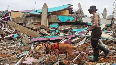 Число жертв землетрясения в Индонезии приблизилось к 80