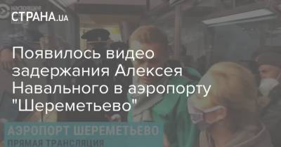 Появилось видео задержания Алексея Навального в аэропорту "Шереметьево"