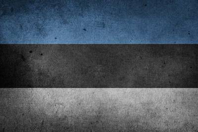 Военные учения в Эстонии едва не сорвались из-за плохих зимних шапок