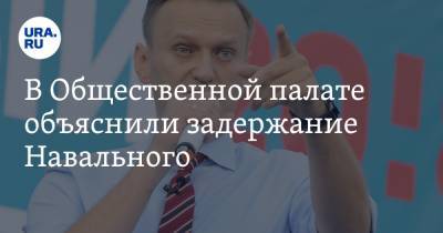 В Общественной палате объяснили задержание Навального