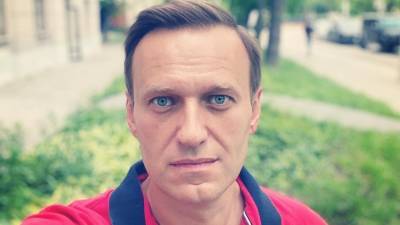 Ремесло спрогнозировал незаконные митинги ФБК из-за задержания Навального
