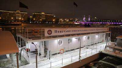 Провалившегося под лед москвича спасли в парке Горького