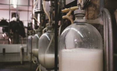 Антисанитария и множественные нарушения: в Тюмени прикрыли предприятие по изготовлению молочной продукции