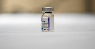 В Алжире назвали безопасной и эффективной вакцину "Спутник V"
