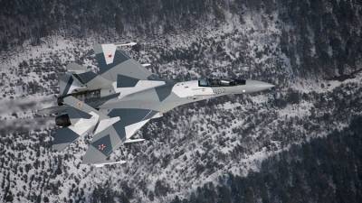 Изящные маневры Су-35 дважды испугали американских летчиков