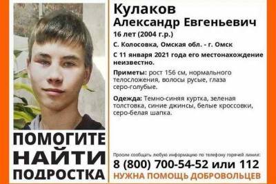 Омского подростка, пропавшего 11 января, так и не нашли