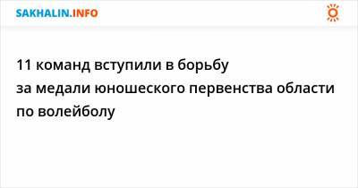 11 команд вступили в борьбу за медали юношеского первенства области по волейболу