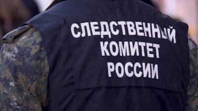 СК России предложил ужесточить наказание для физлиц за неуплату налогов - nation-news.ru