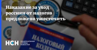 Елена Леоненко - Наказание за уход россиян от налогов предложено ужесточить - nsn.fm