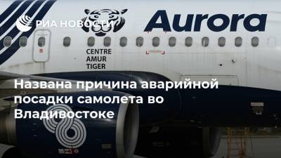 Названа причина аварийной посадки самолета во Владивостоке