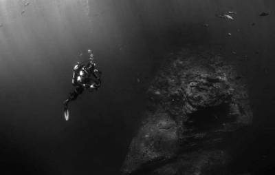 Ученые обнаружили в Тихом океане странных гигантских слизней (Фото) - lenta.ua - Мексика - шт. Калифорния