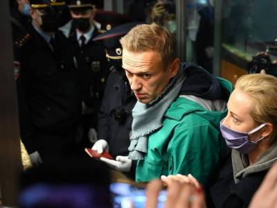 Оппозиционера Навального задержали в аэропорту после возвращения из Германии