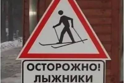 В Костромской области произошло ДТП: ВАЗ-2110 сбил пожилую лыжницу-костромичку