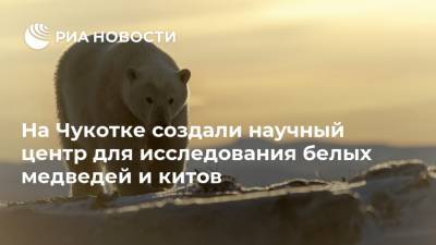 На Чукотке создали научный центр для исследования белых медведей и китов