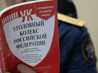 Уголовную ответственность для физлиц в России могут ужесточить - rosbalt.ru