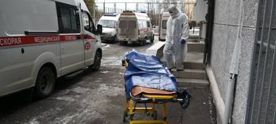 Пневмония стала причиной госпитализации 20 жителей Карелии за сутки