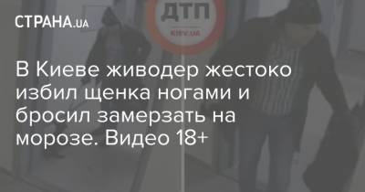В Киеве живодер жестоко избил щенка ногами и бросил замерзать на морозе. Видео 18+