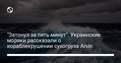 "Затонул за пять минут". Украинские моряки рассказали о кораблекрушении сухогруза Arvin