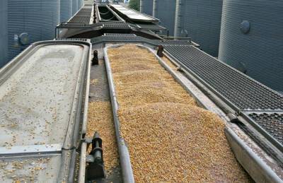Укрзализныця отчиталась об объемах перевозки зерна в 2020 году