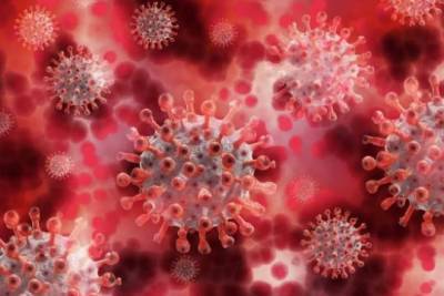 США предсказали полмиллиона смертей от коронавируса к середине февраля