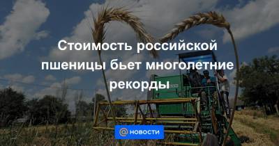 Дмитрий Рылько - Стоимость российской пшеницы бьет многолетние рекорды - news.mail.ru - Швейцария - Египет