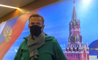 Украинская делегация в ПАСЕ намерена поднять вопрос о Навальном