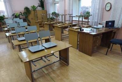 Более 12 000 школьников Тульской области ушли на дистанционку