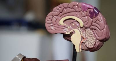 Альцгеймер можно обратить вспять: ученые обнаружили удивительные свойства сероводорода