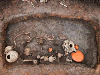 В детском погребении I века обнаружили кости щенка